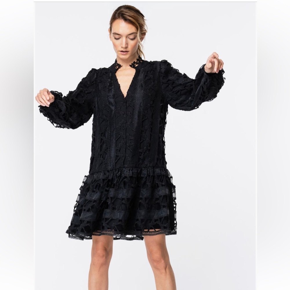 Elegant Black Dragonfly Lace and Organza Dress NWT. Small.